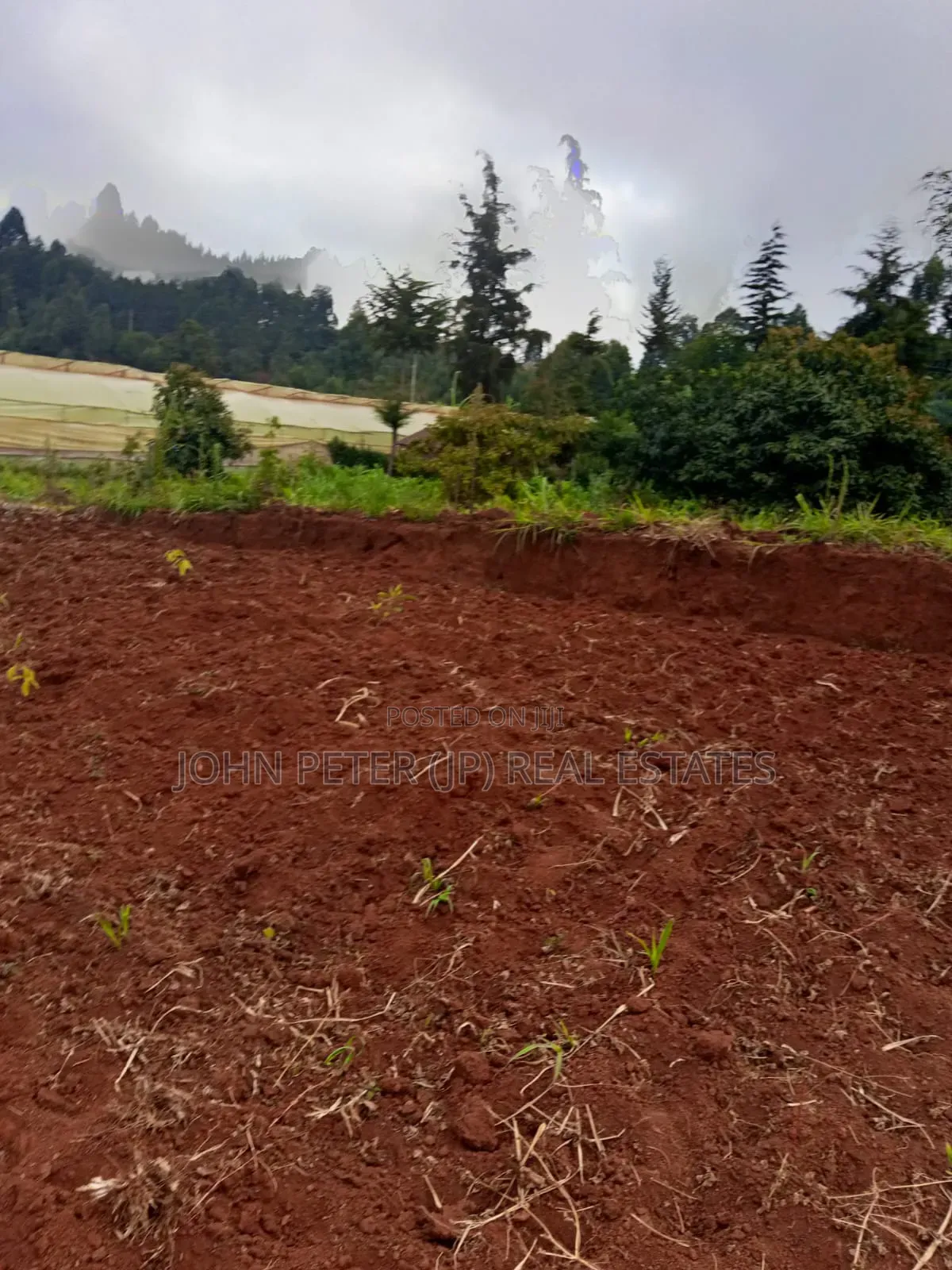 Chungamali Plots