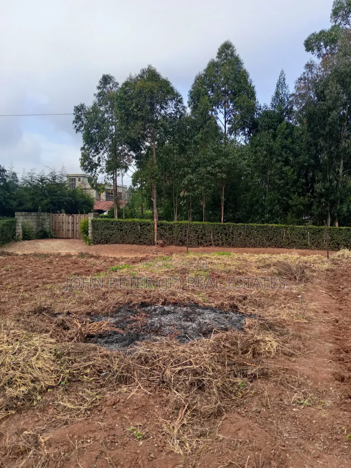 Chungamali Plots