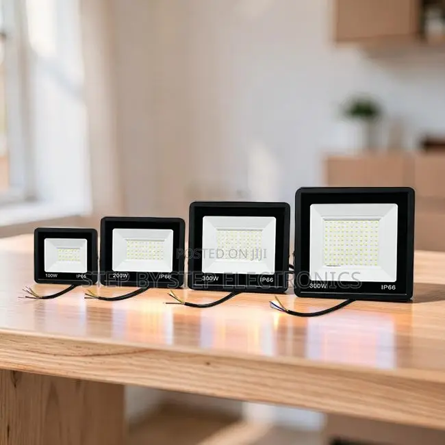 Bulk Discounts 200W,100W,50W,30W AC Electric LED Flood Light