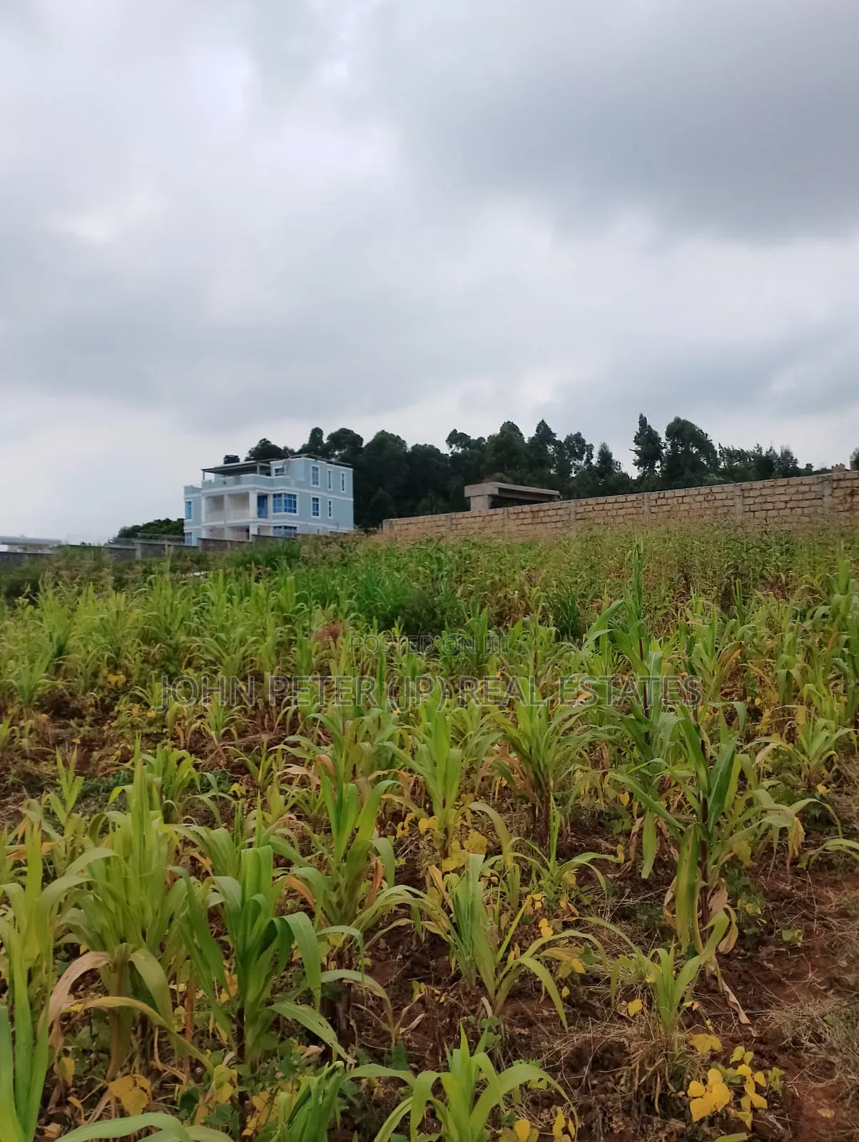 Plots for Sale in Gikambura