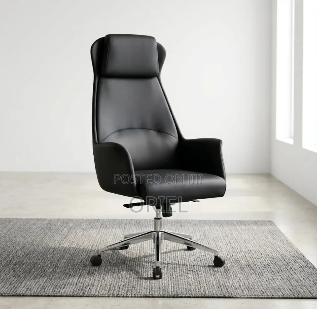 Office Chair : Executive Ergonomic Leather High Back Chair