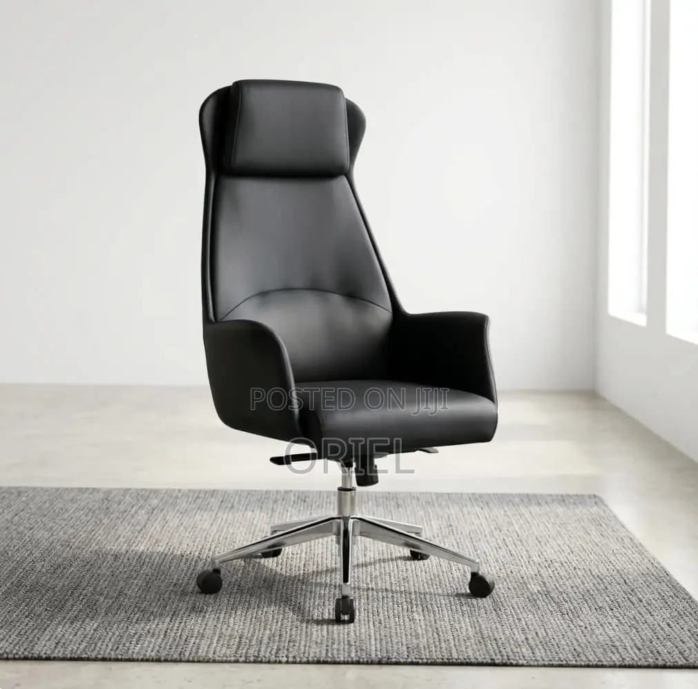 Office Chair : Executive Ergonomic Leather High Back Chair