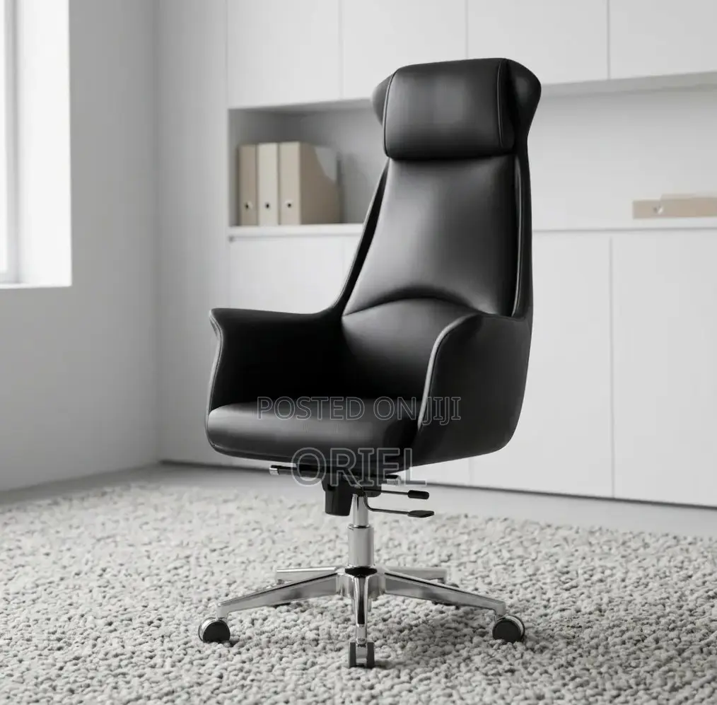 Office Chair : Executive Ergonomic Leather High Back Chair