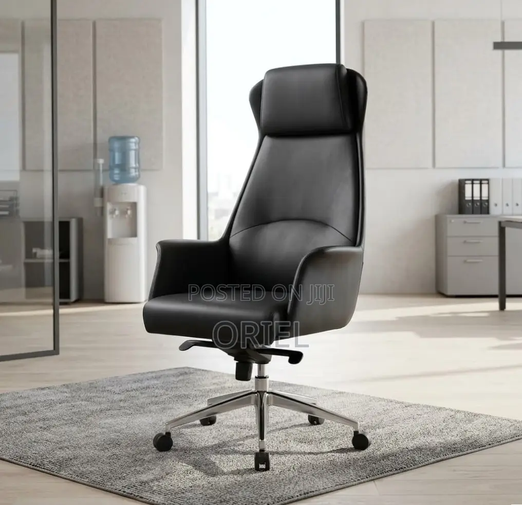Office Chair : Executive Ergonomic Leather High Back Chair