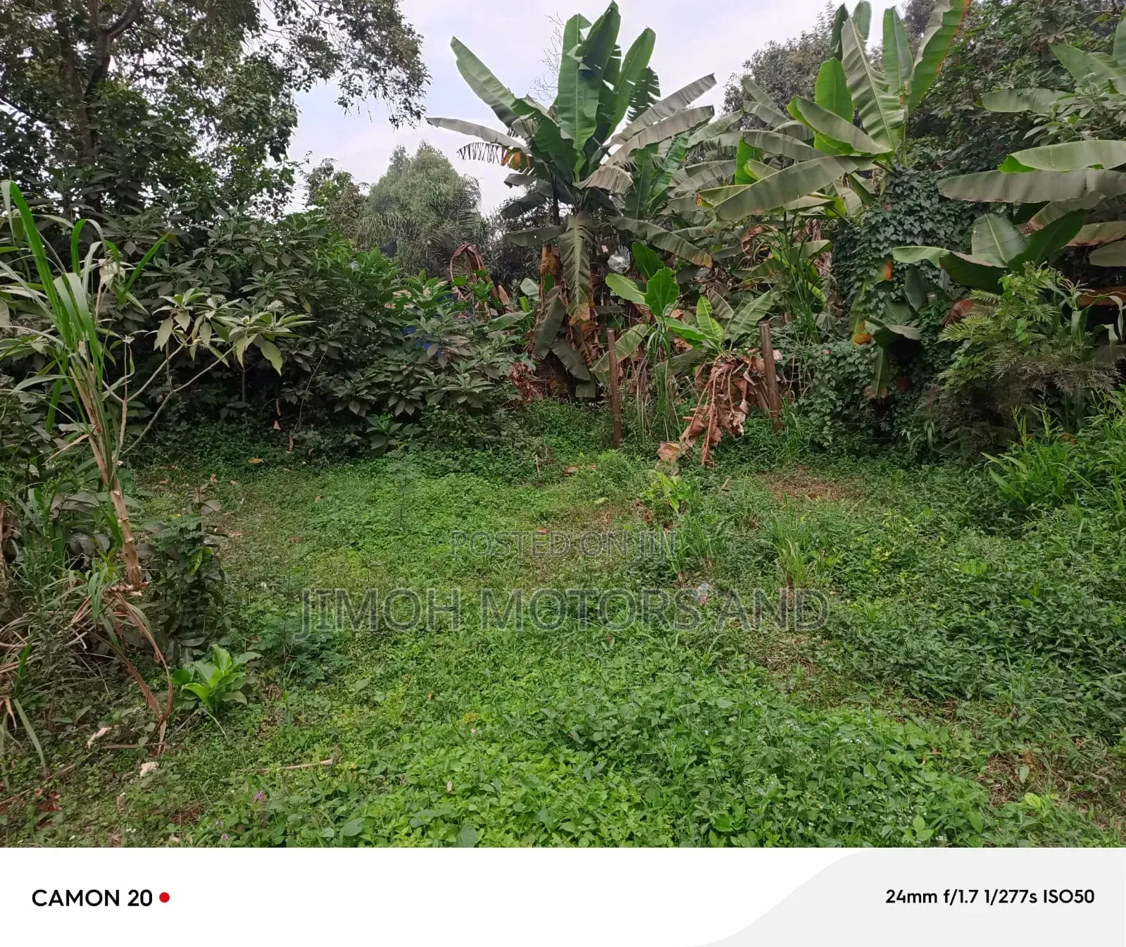 Land for Sale in Gachie