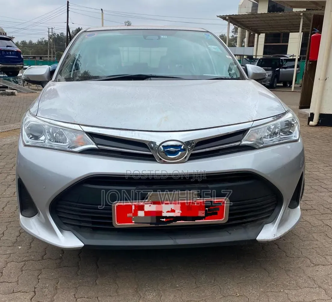 Toyota Axio 2019 Silver