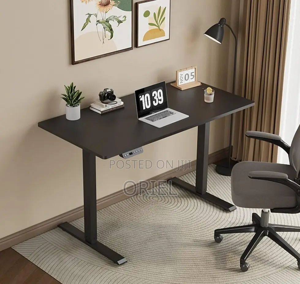 Office Desk : Electric Sit Stand 120CM Computer Desk