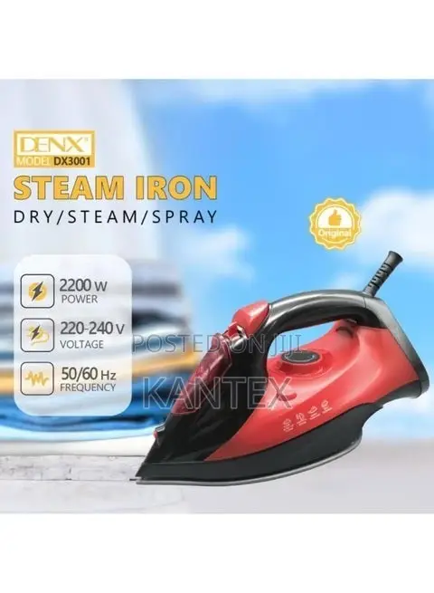 Denx DX3001 Steam Iron Dry/Steam/Spray