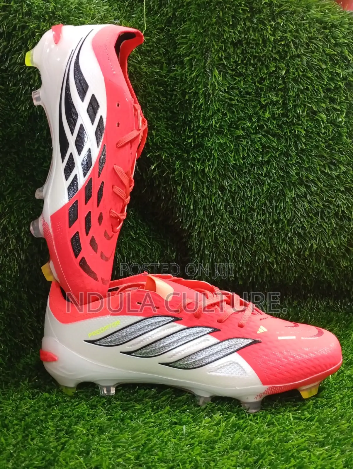 The Predator Elite Firm Ground Adidas