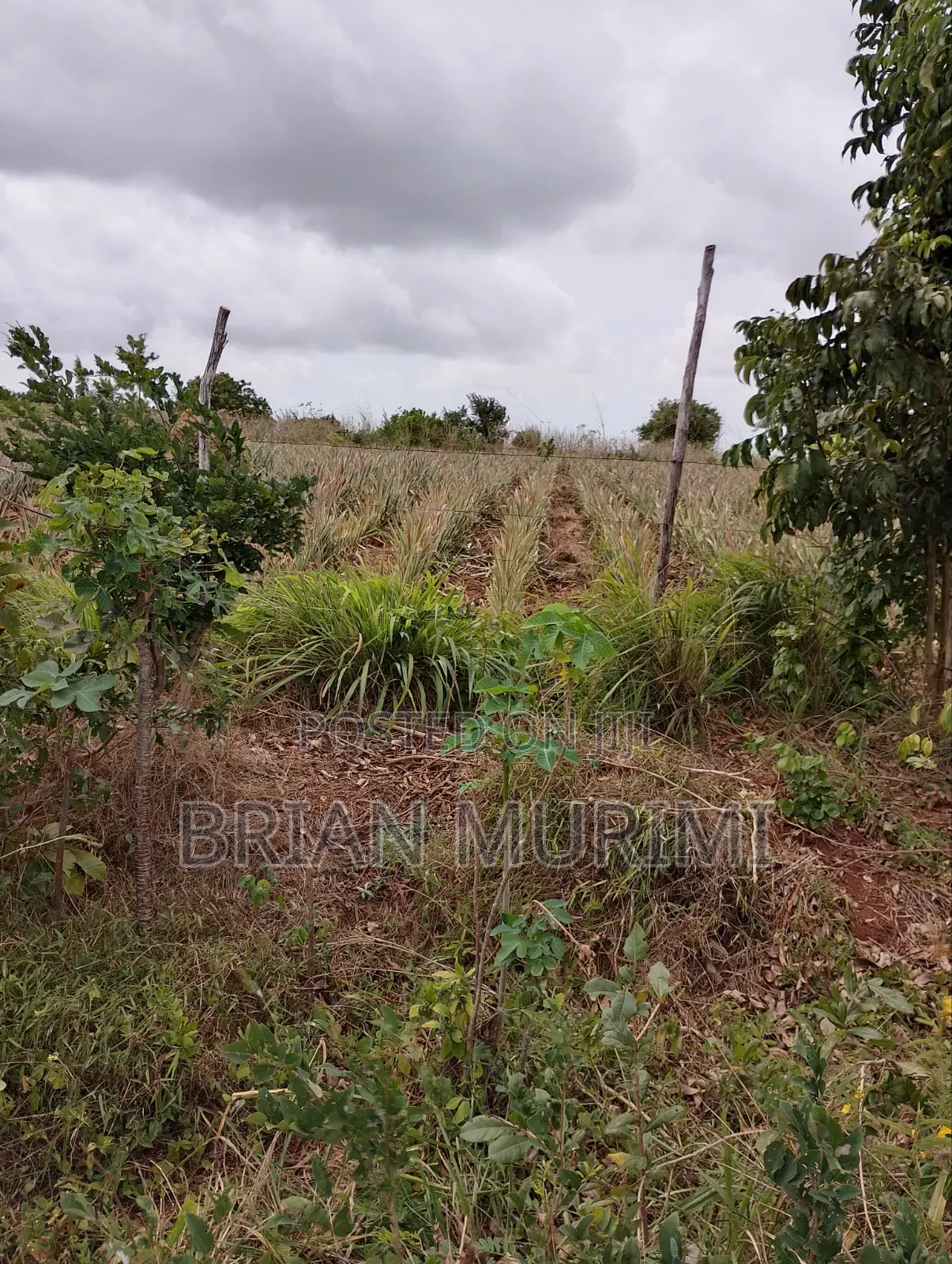 15 Acres Prime Land
