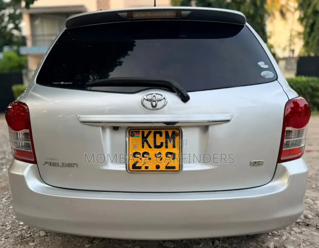 Toyota Corolla Fielder 2010 Silver