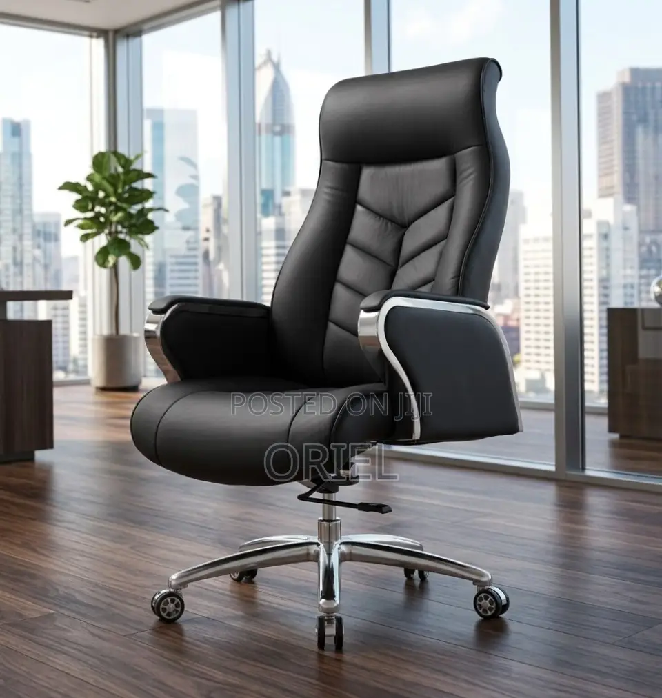 Office Chair : Luxury High Back Executive Office Director Chair