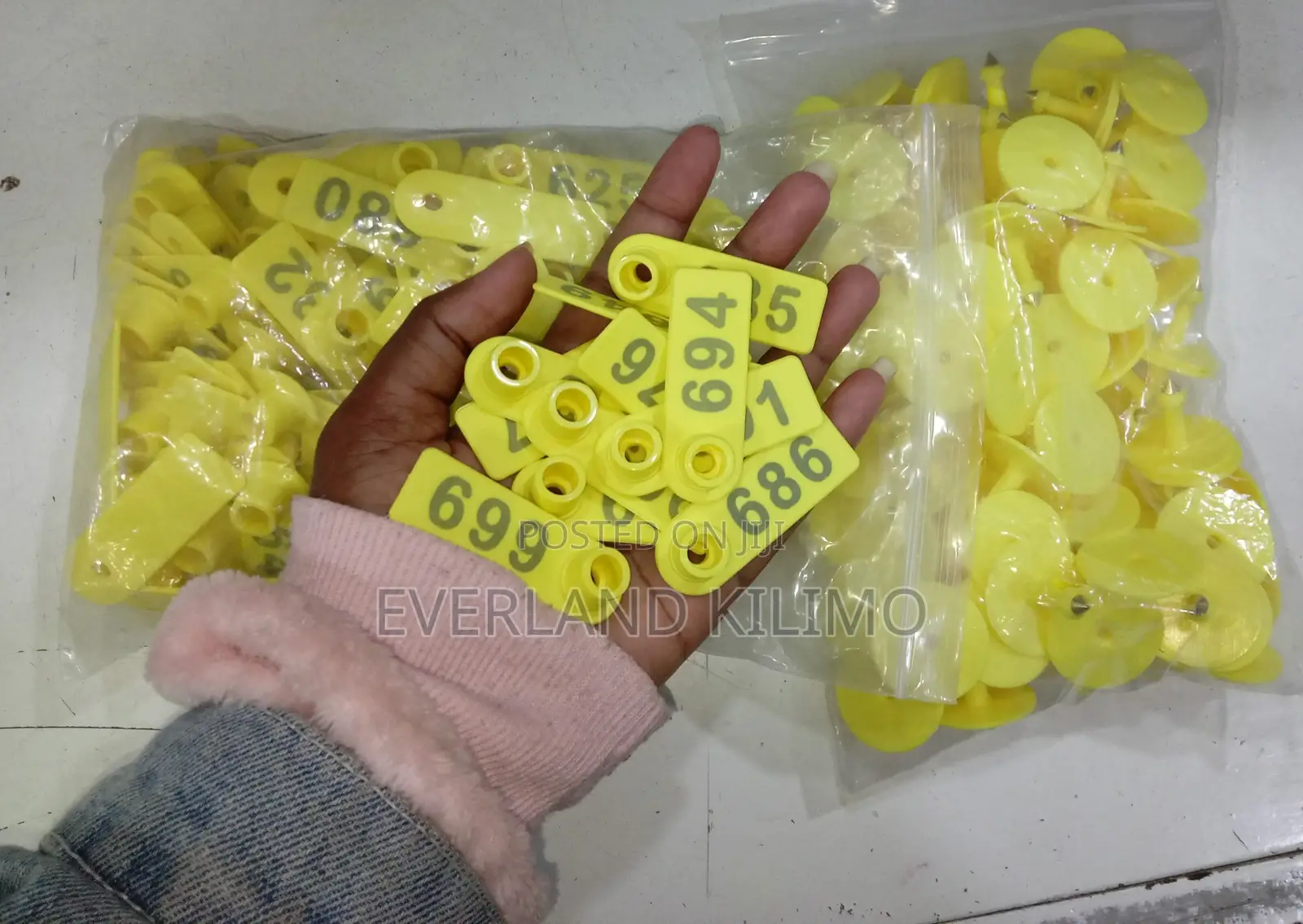 Laser Printed Numbered Slim Ear Tags
