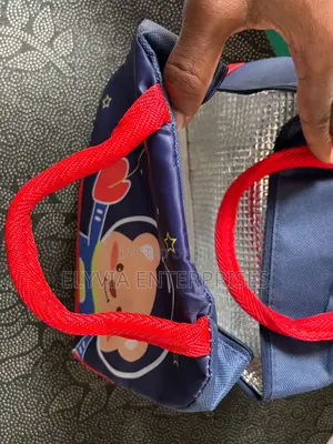 Insulated Thermal Lunch Bag