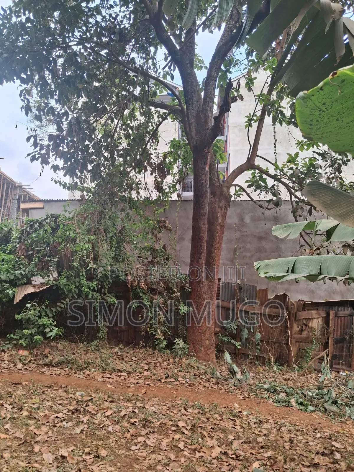 Kiamumbi Kamiti Road Prime 50x100 Behind Police Station