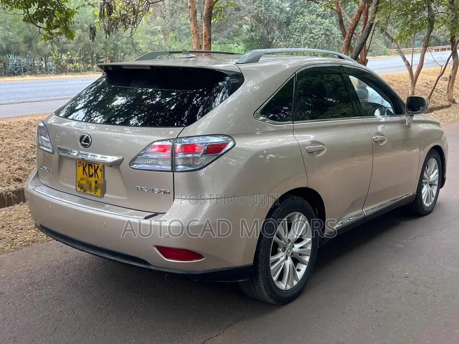 Lexus RX 2010 Gold