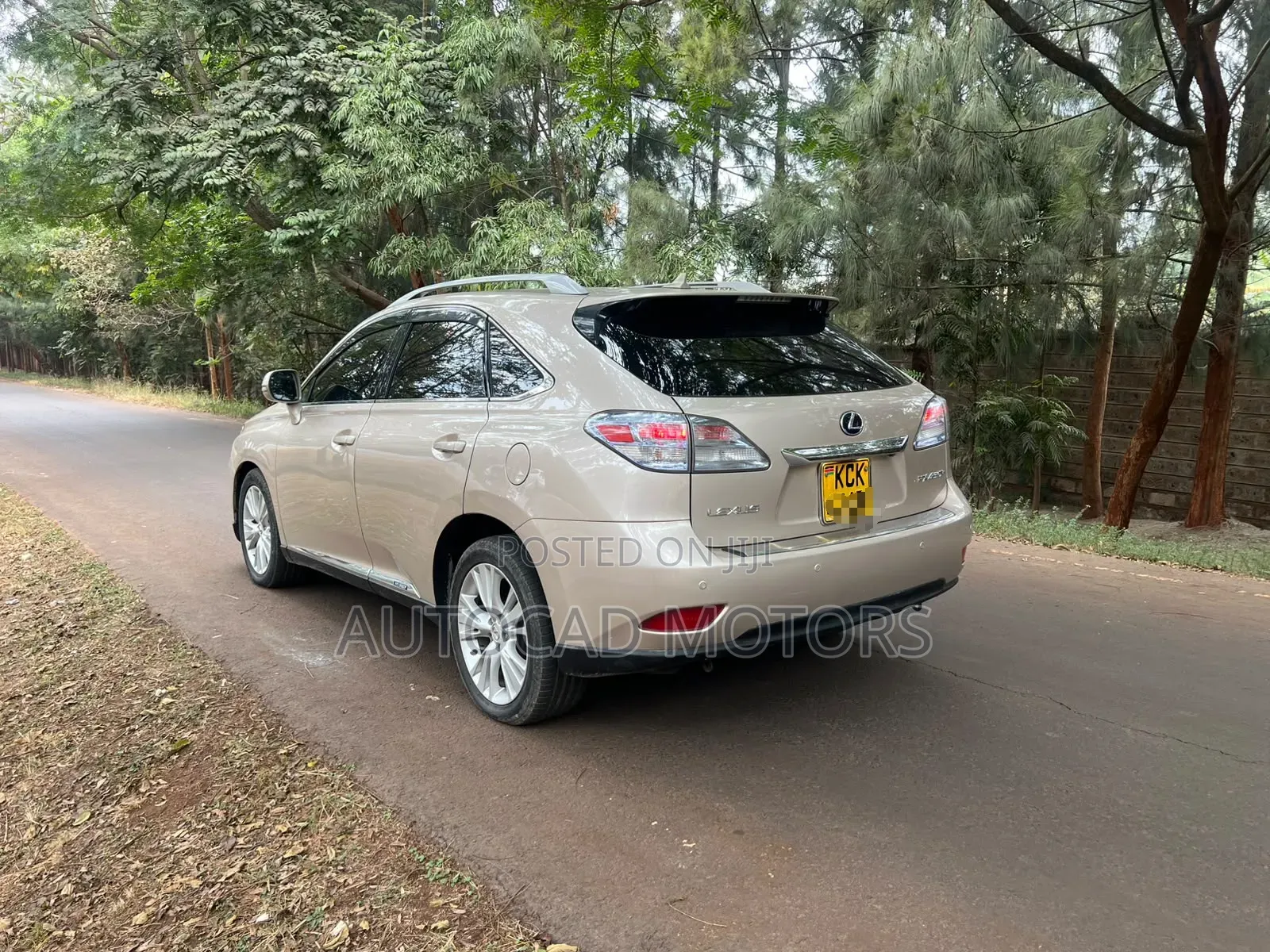 Lexus RX 2010 Gold