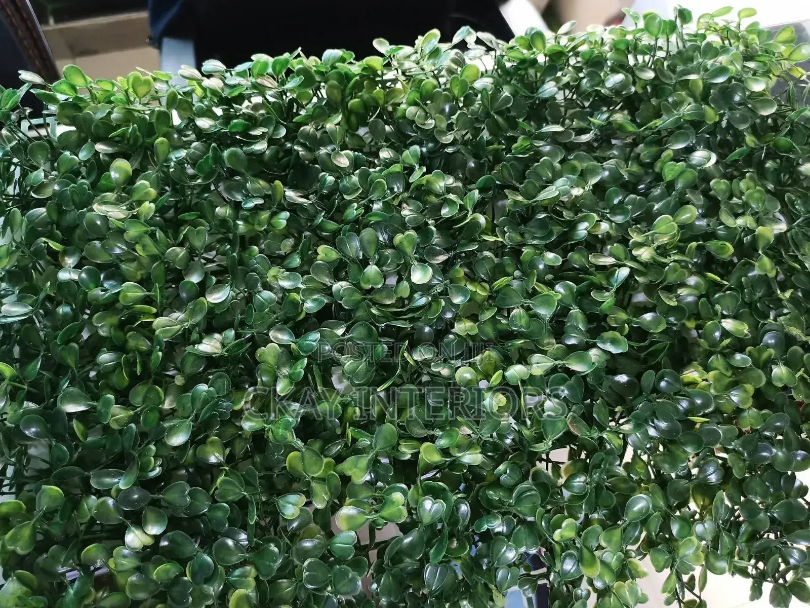 A Stylish Upgrade for Wall Ascents Artificial Boxwood Panels