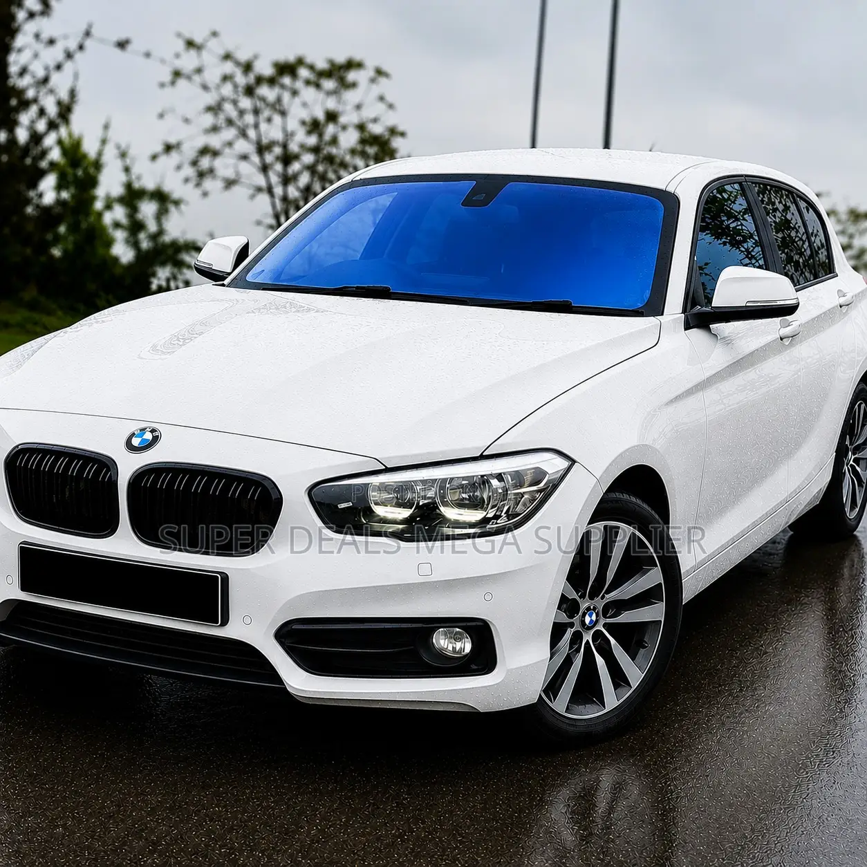 Eye-Catching 70% VLT Car Chameleon Front Windscreen Tint Film