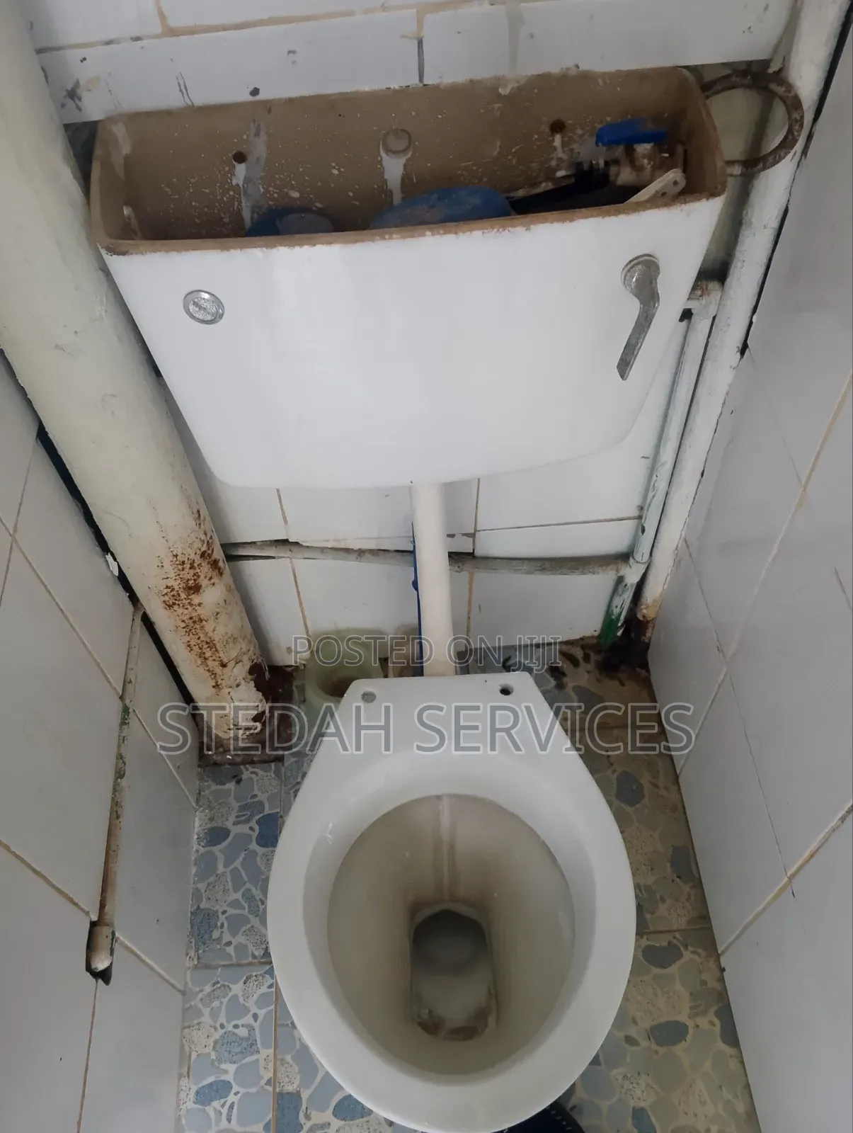 Plumber-Burst/Cracked Pipes/Sewer Line