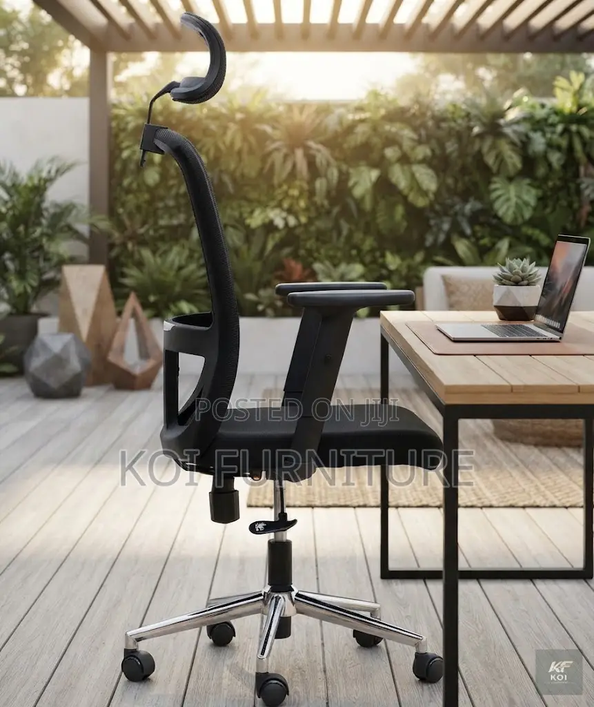 Office Chair; Ergonomic Ergo Office Chairs