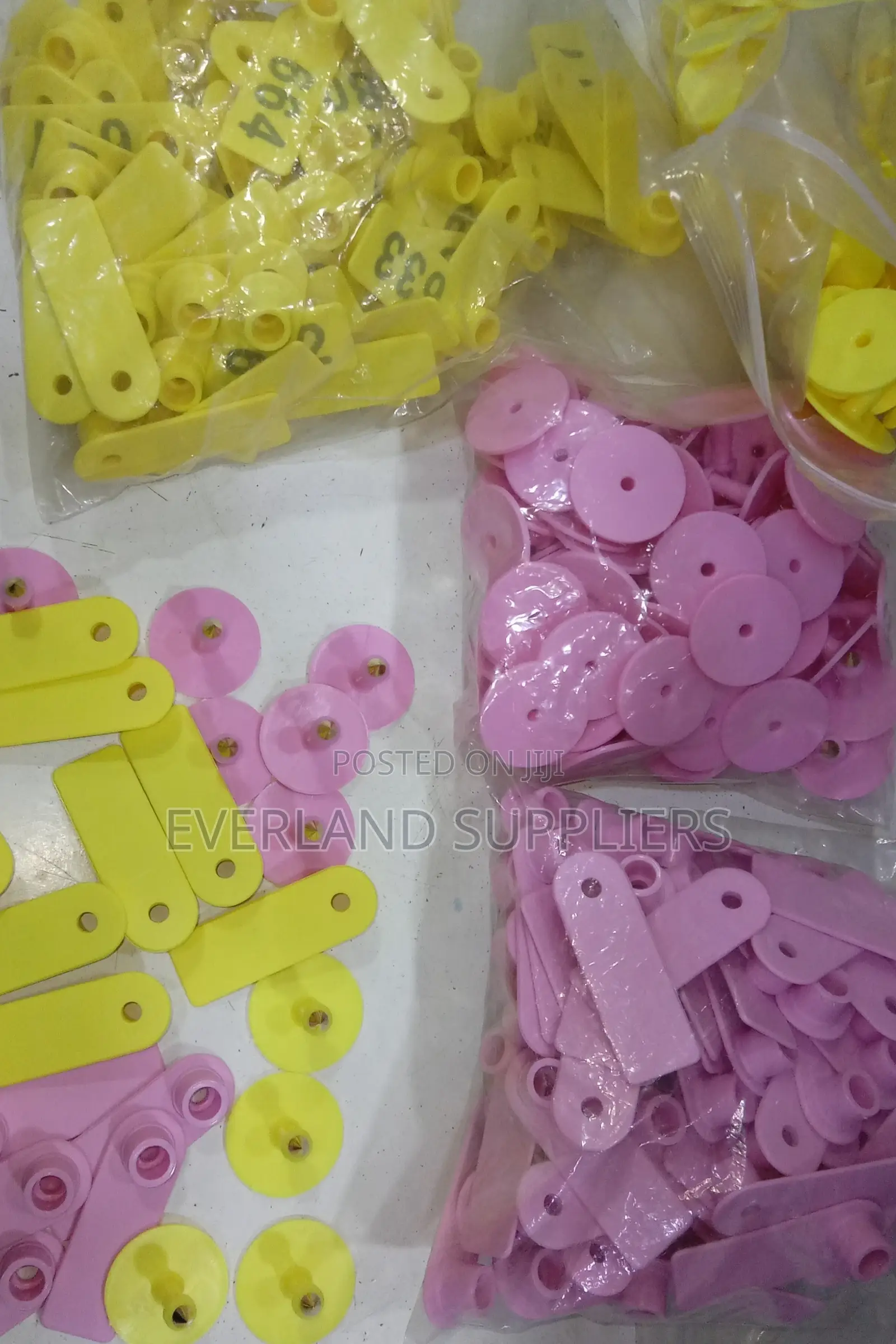 Plain Identification Ear Tags 100 PCS