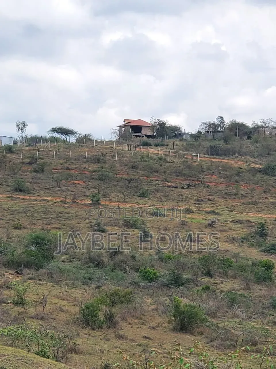 Daystar Area Plots