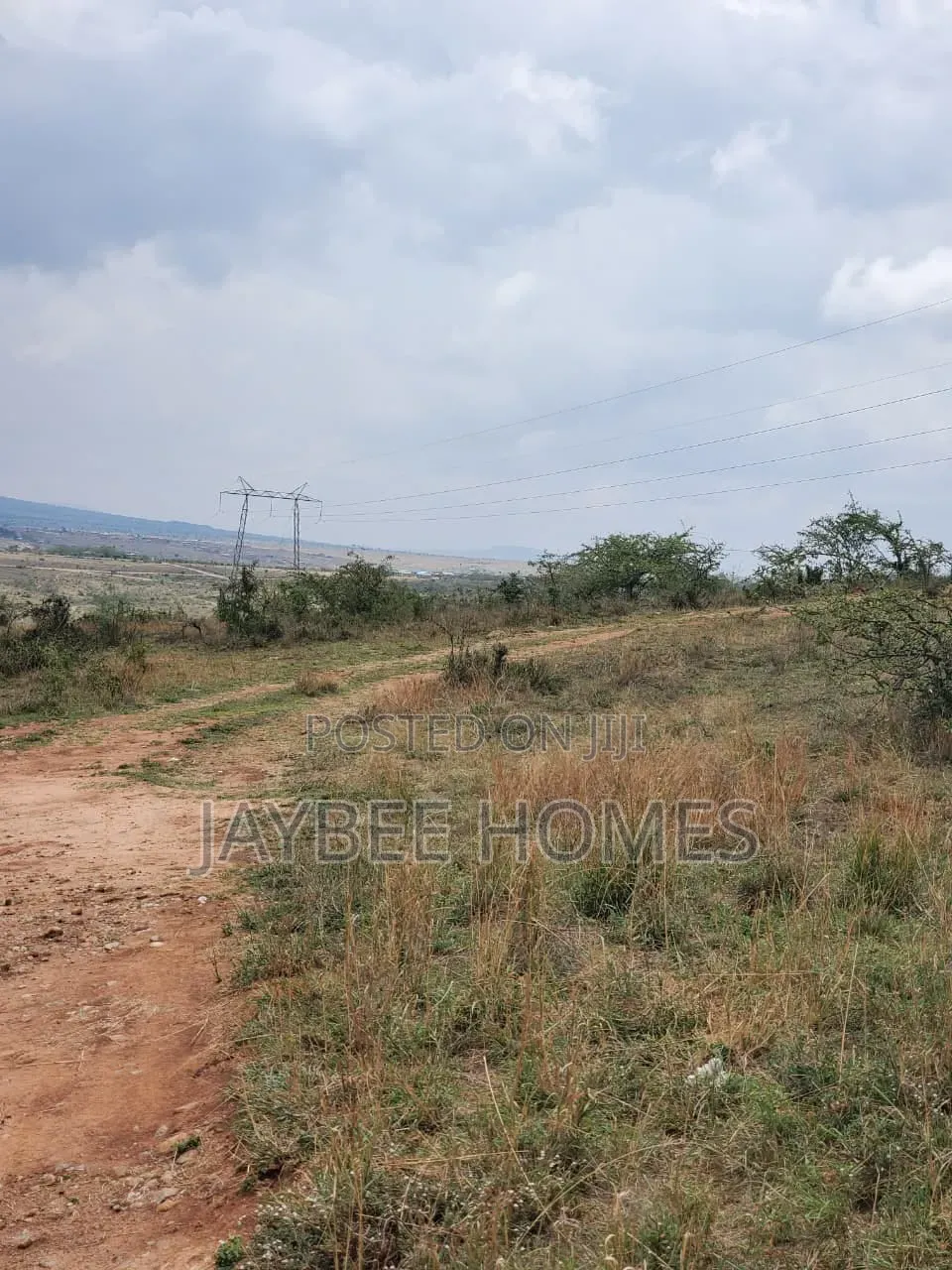 Daystar Area Plots