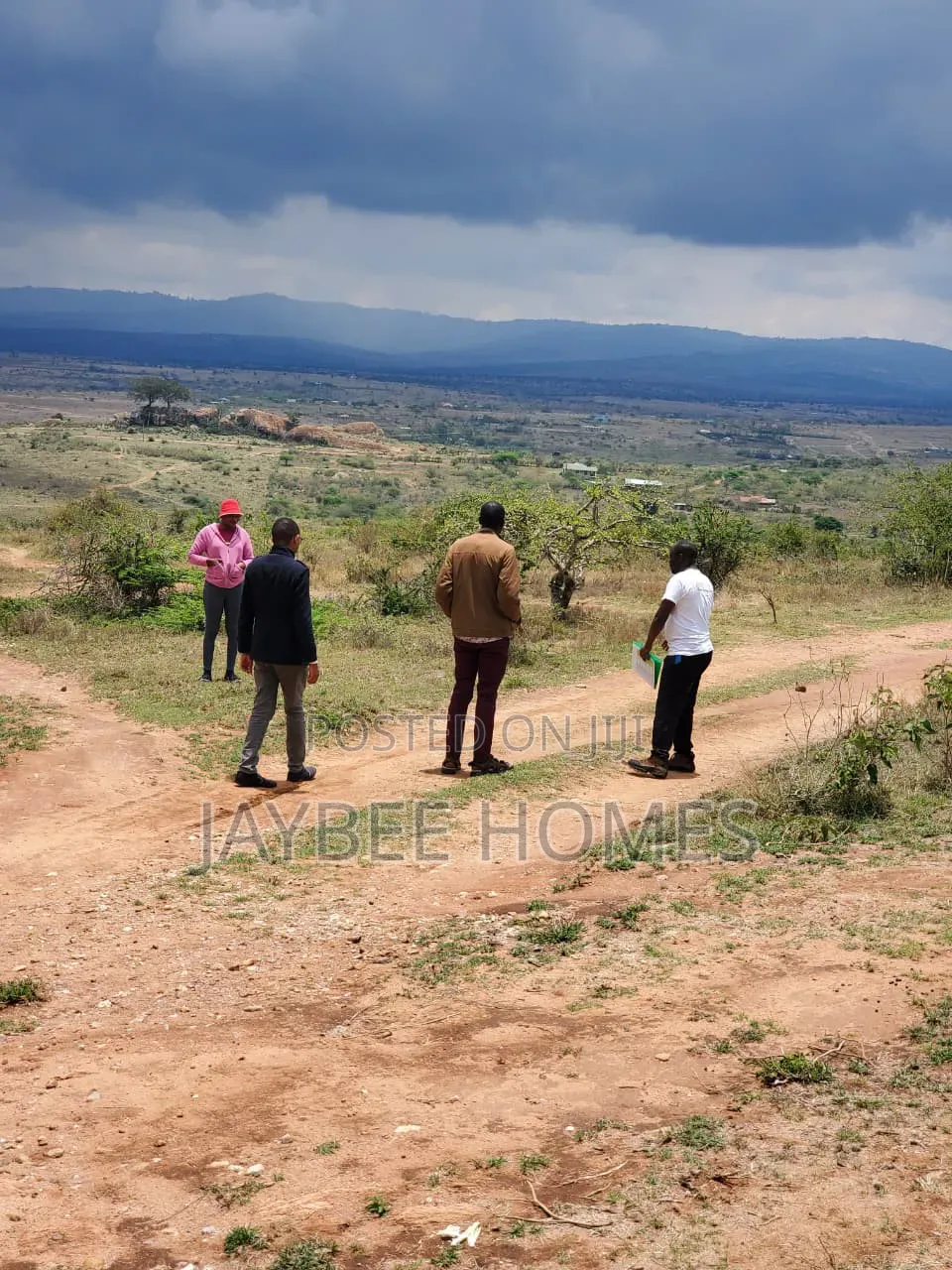 Daystar Area Plots