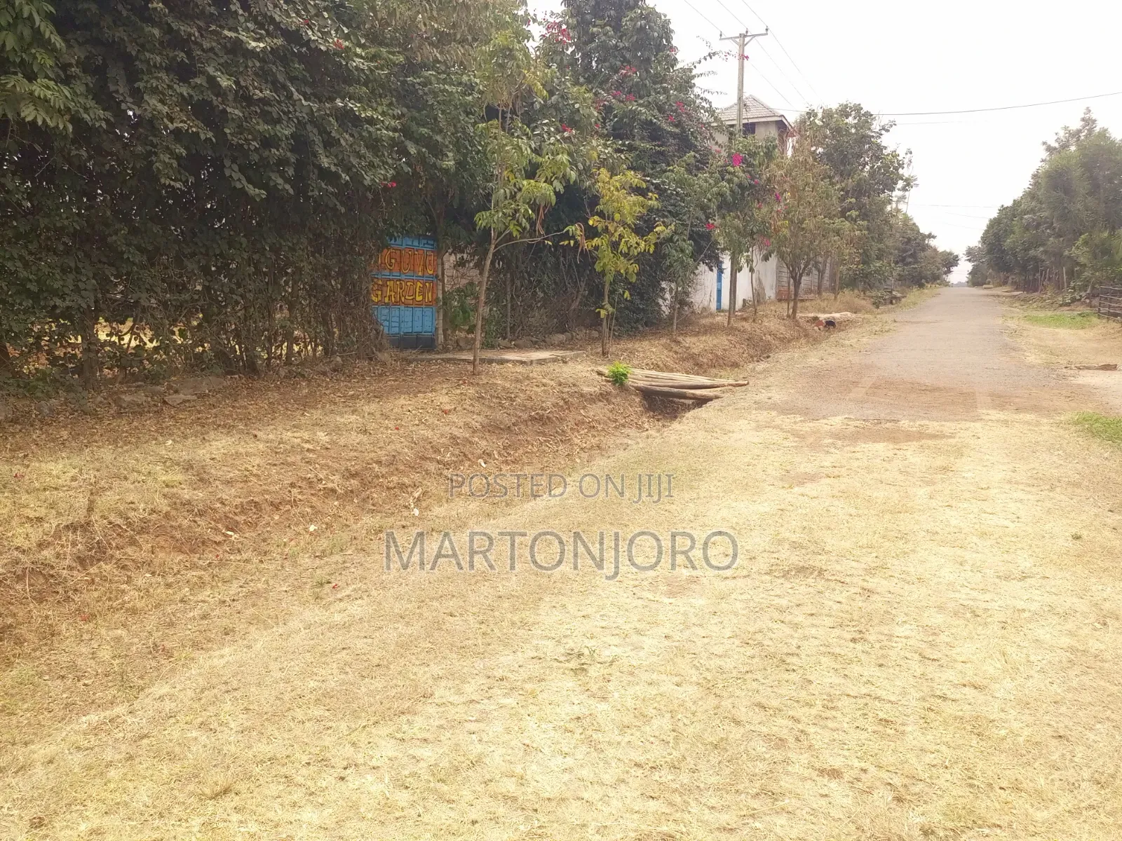 1/4acre Jacaranda Estate Juja