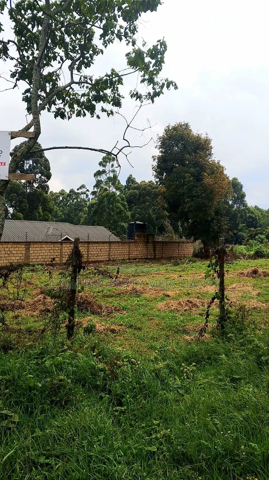 1/4 Acre Residential Property – Tilisi, Limuru