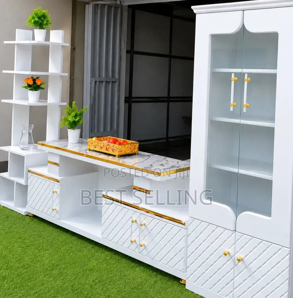 Modern TV Stand and Cabinet and Flowers Rack