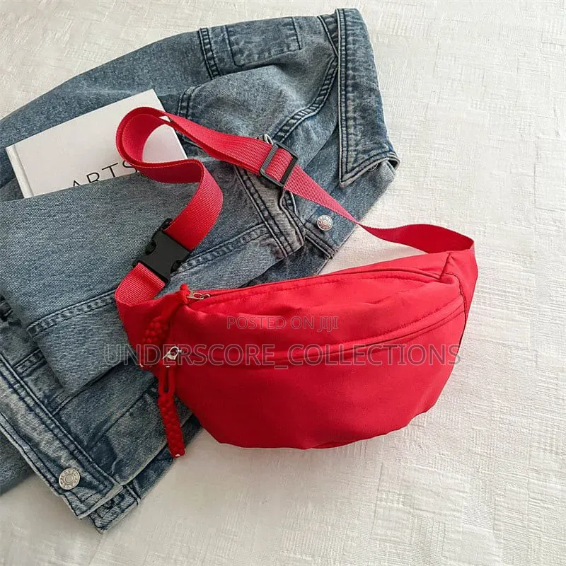 Waist Travel Bag
