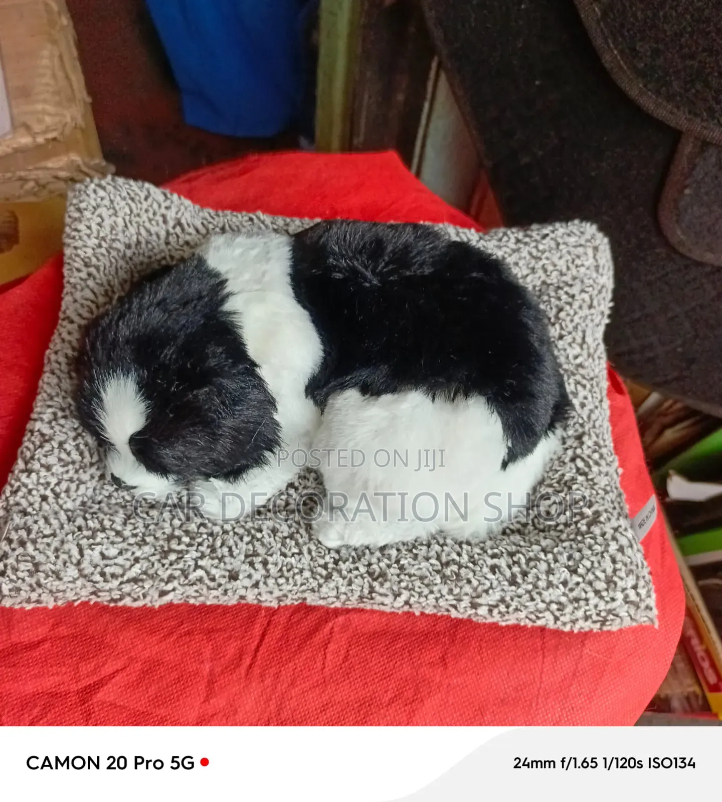 Black-White Realistic Sleeping Plush Dashboard Puppy