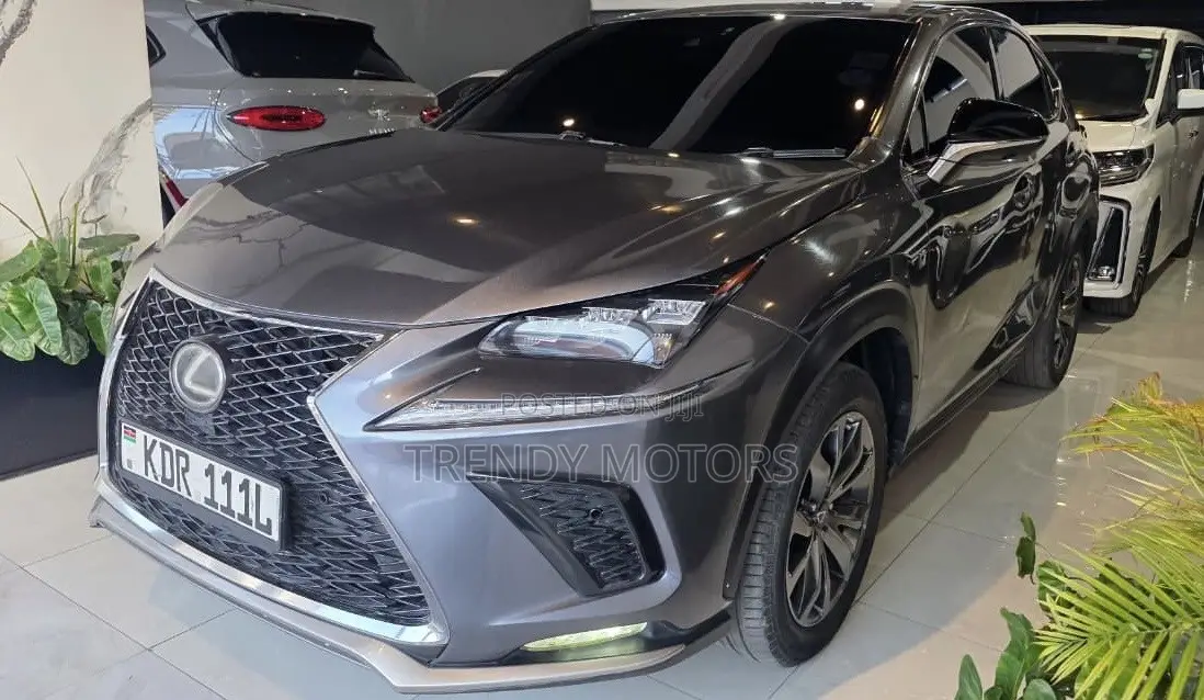 Lexus NX 2017 Gray