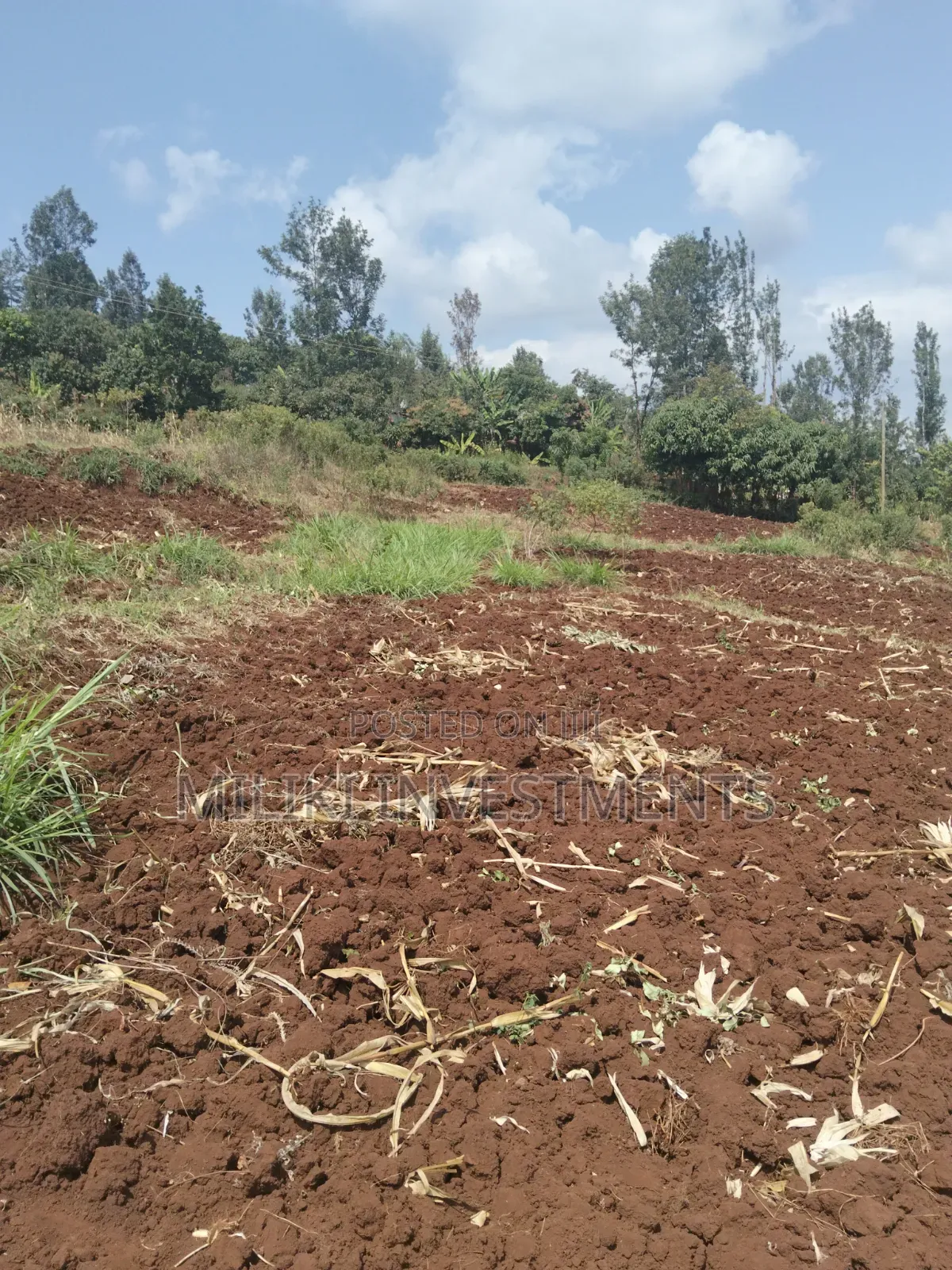 3 Acres on Sale at Murang'a -Sabasaba