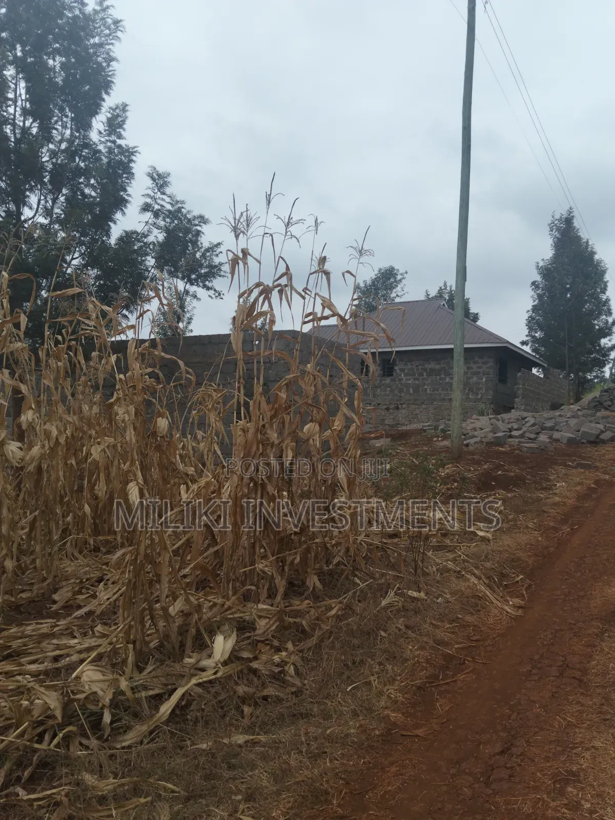 60 by 100 Ft Plot on Sale at Kenol Area-Kagaa -Kahuaini
