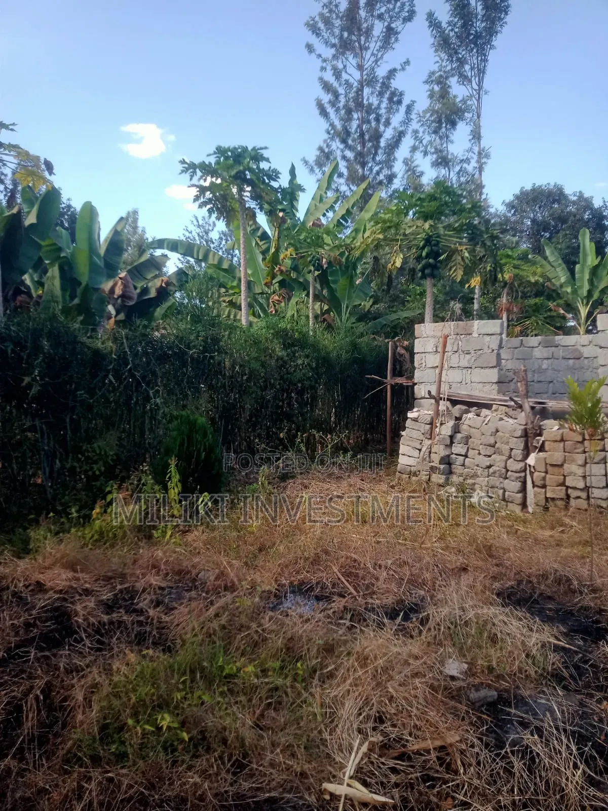 50 by 100 Plot at Sabasaba on Sale+A House