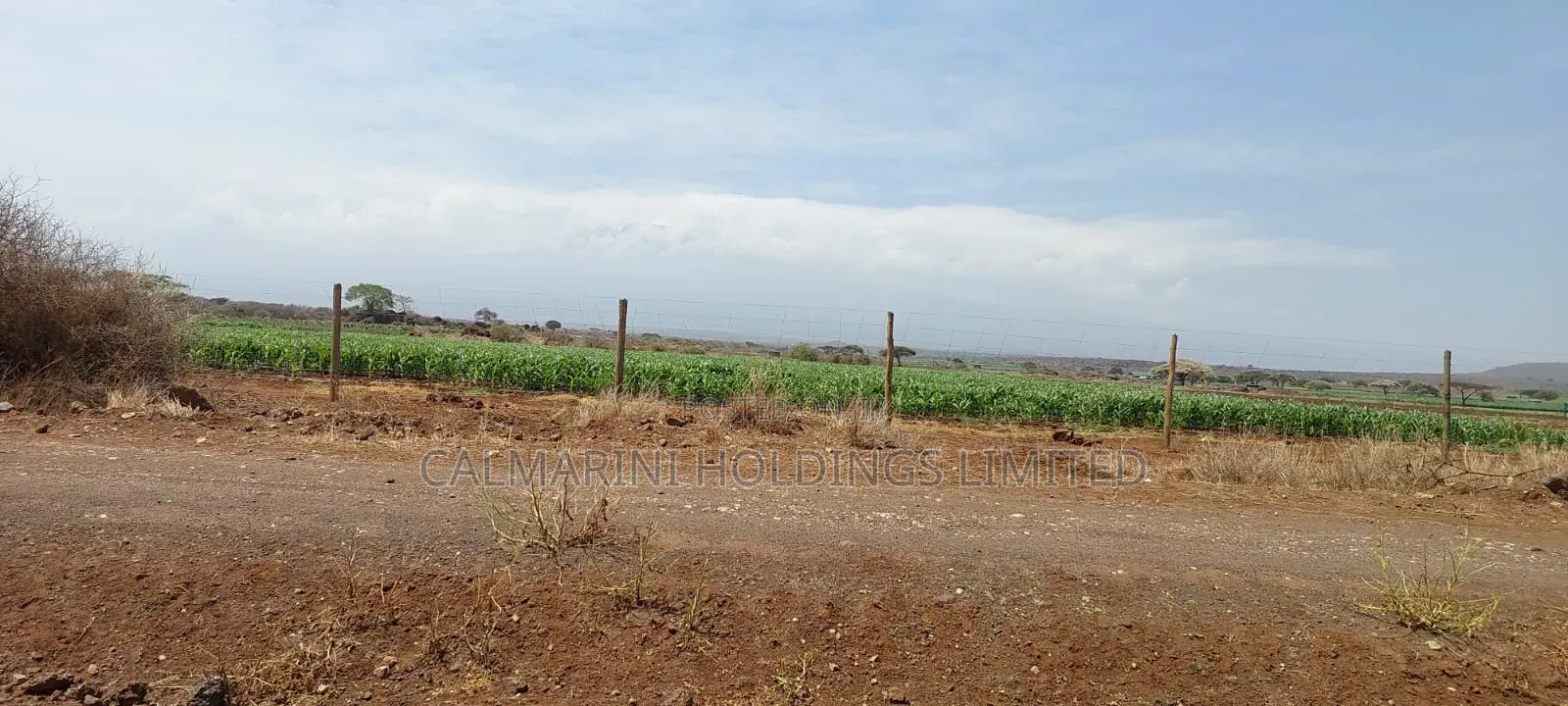 Prime Distress Deal! 58 Acres in Kimana,Oloitoktok Next to Sopa Lodge
