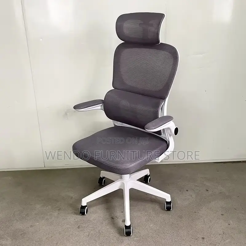 Office Chairs; Orthopedic Dynamic Support Office Chair