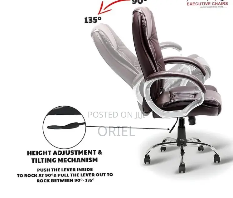 Executive Office Chair : Brown Director Chair