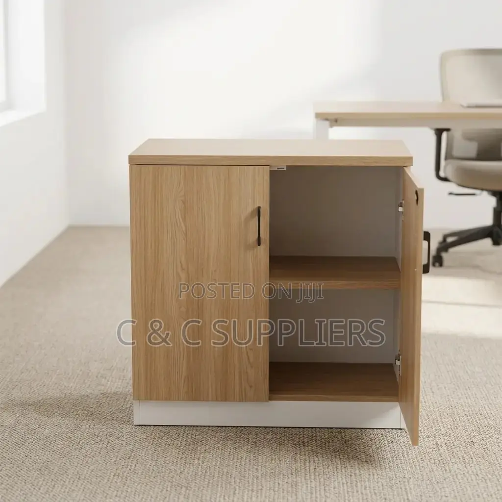 2-Door Custom Credenza Cabinet