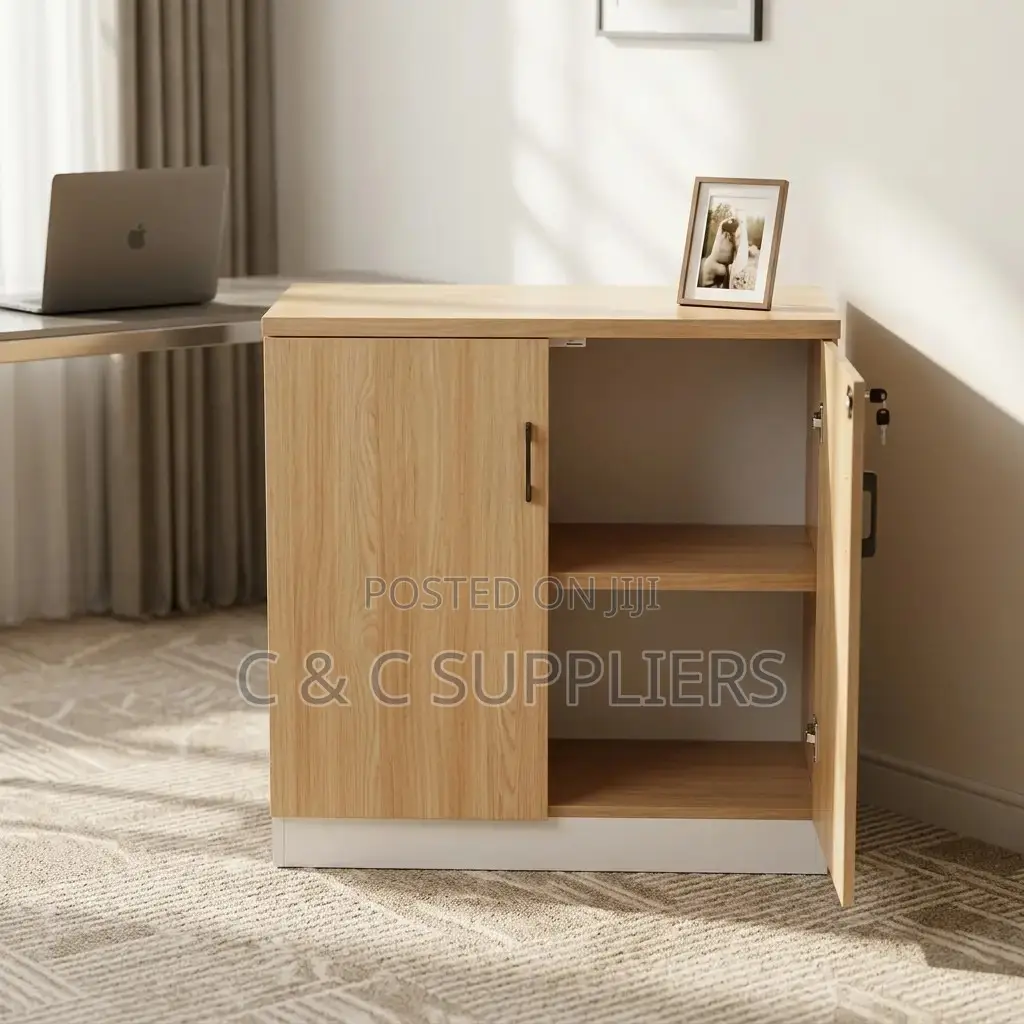 2-Door Custom Credenza Cabinet