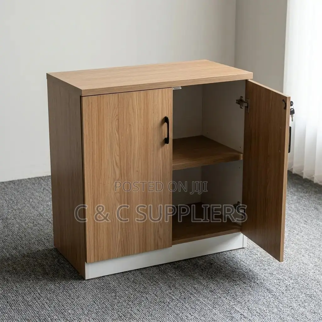2-Door Custom Credenza Cabinet