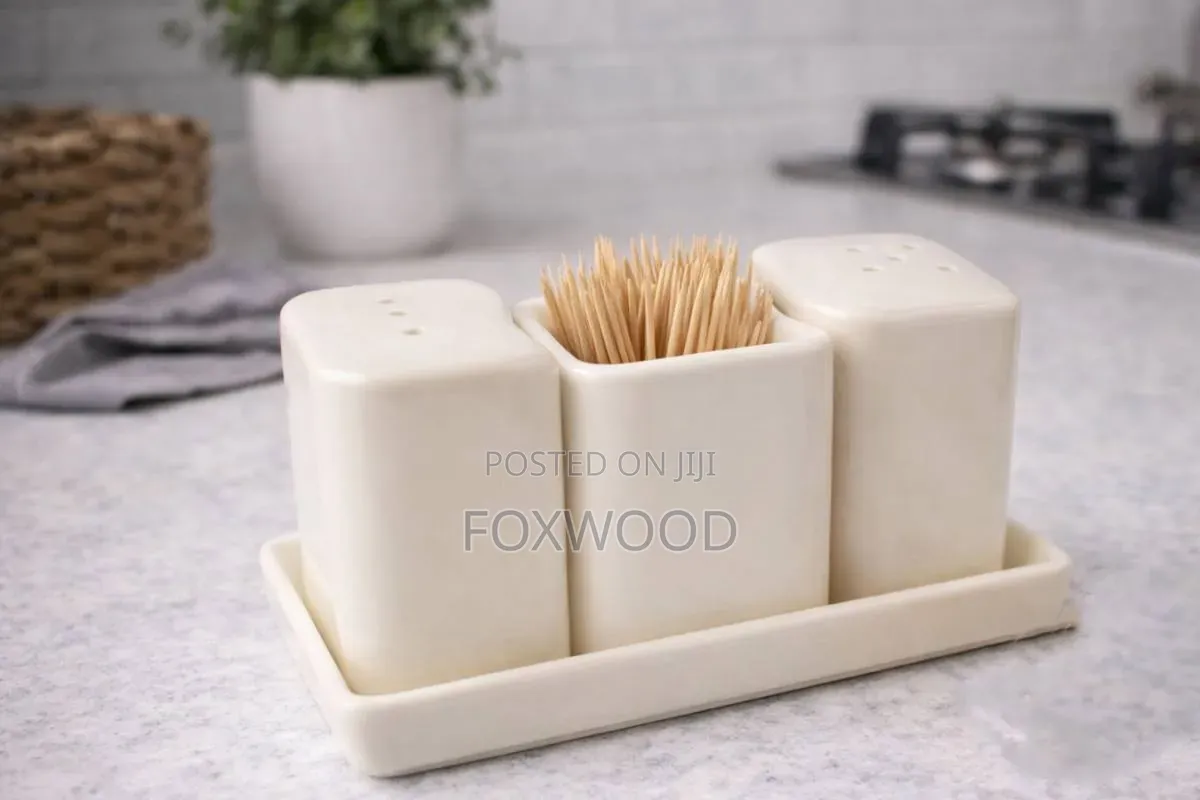 Ceramic 4pc Salt Shaker Square