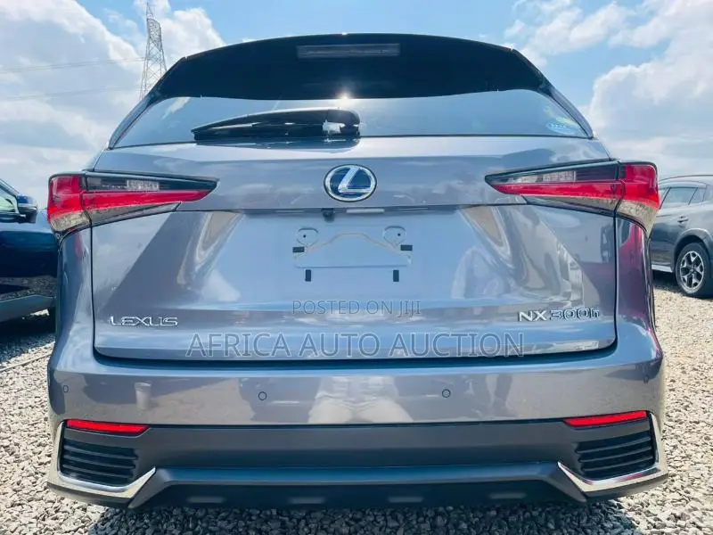 Lexus NX 2020 Gray