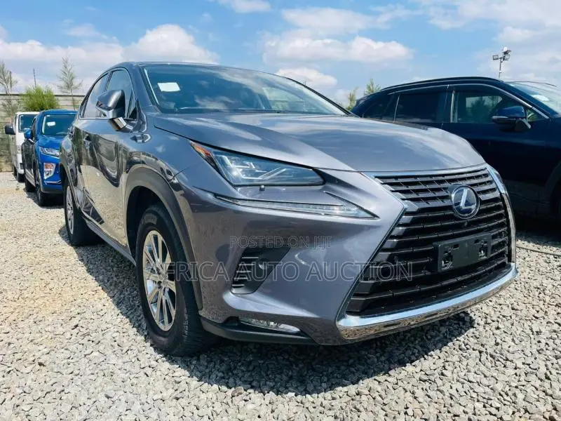 Lexus NX 2020 Gray
