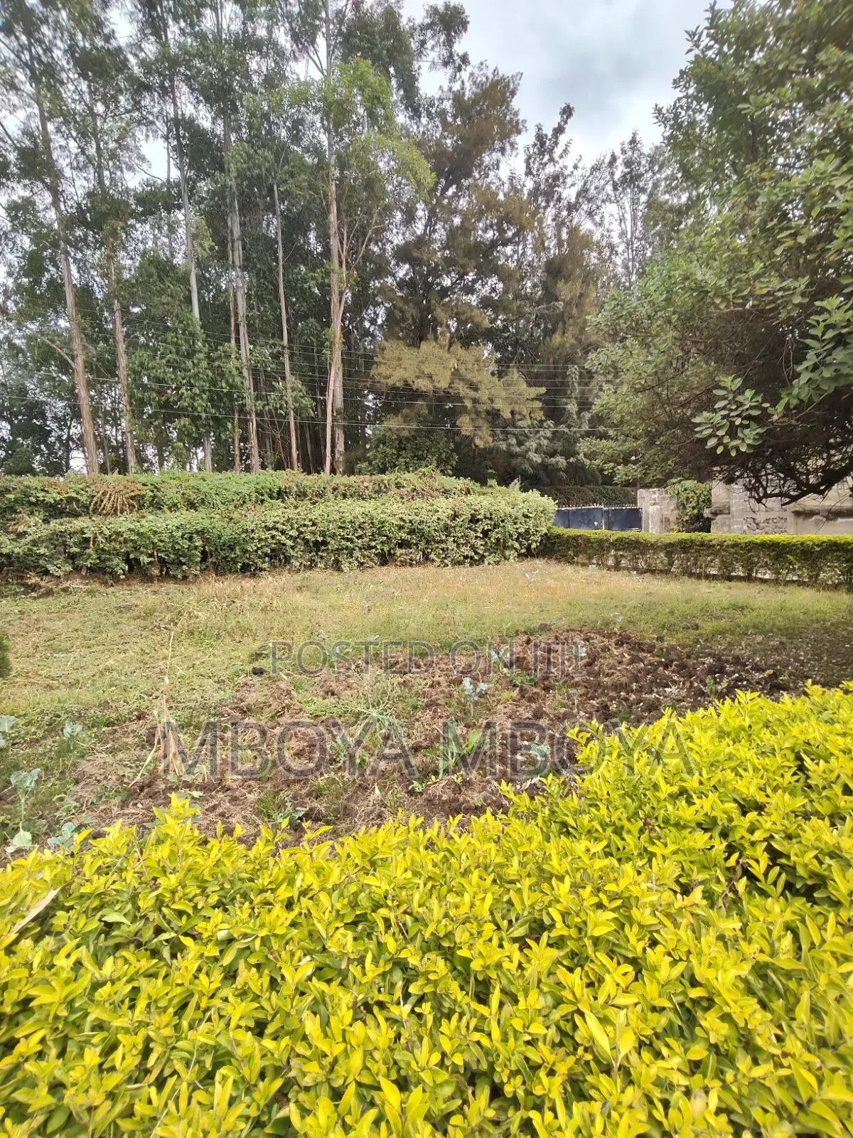 Prime 0.5 Acre Land for Sale in Garden Estate