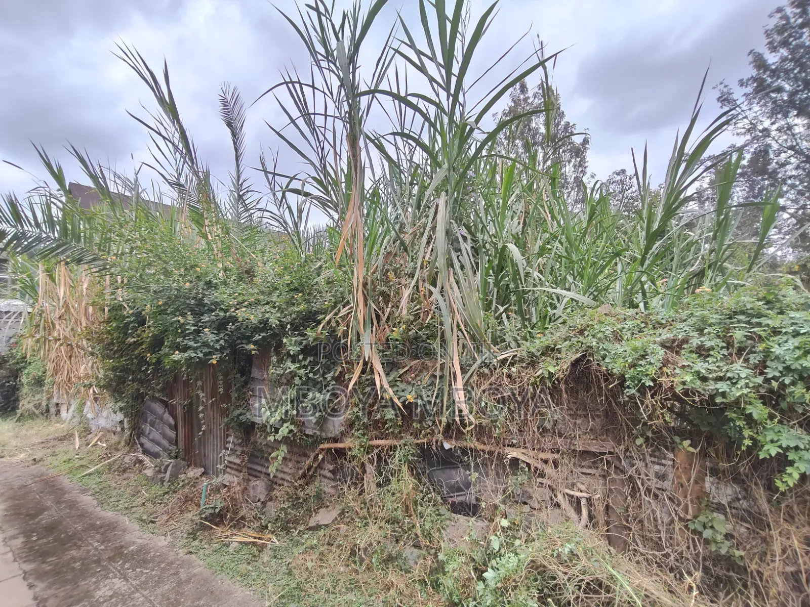 Prime 0.5 Acre Land for Sale in Garden Estate