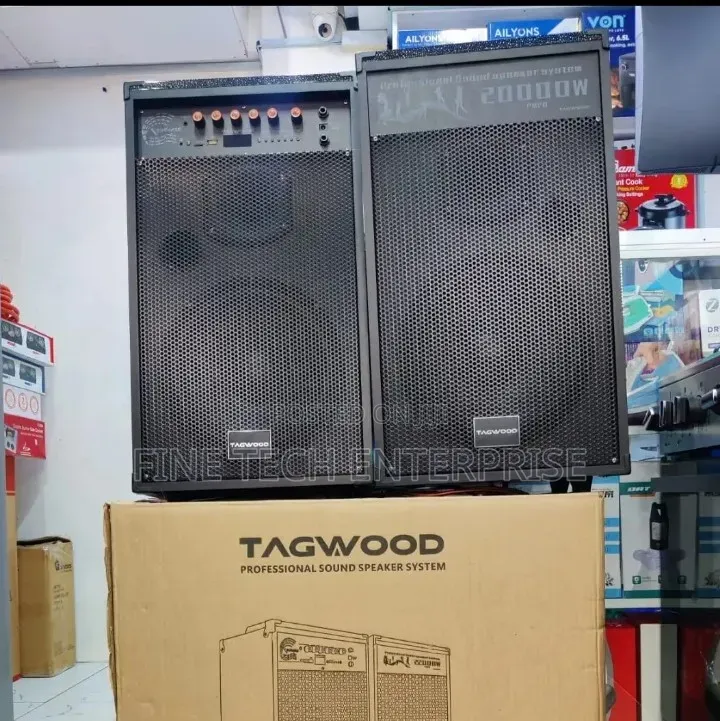 *Tagwood 10D Comes as a Pair Has Two Microphone